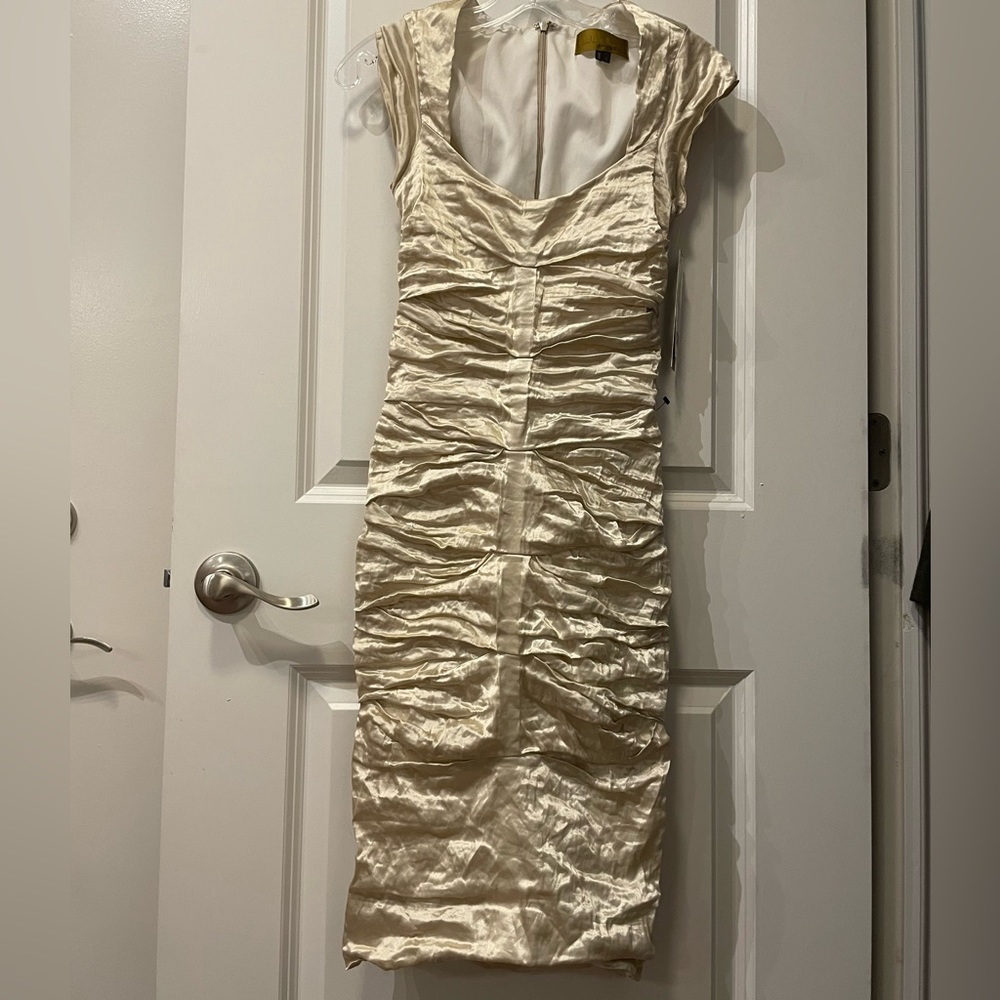 Beautiful champagne Nicole Miller cocktail dress. NWT